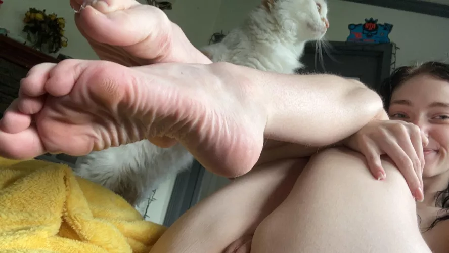 Always being photobombed