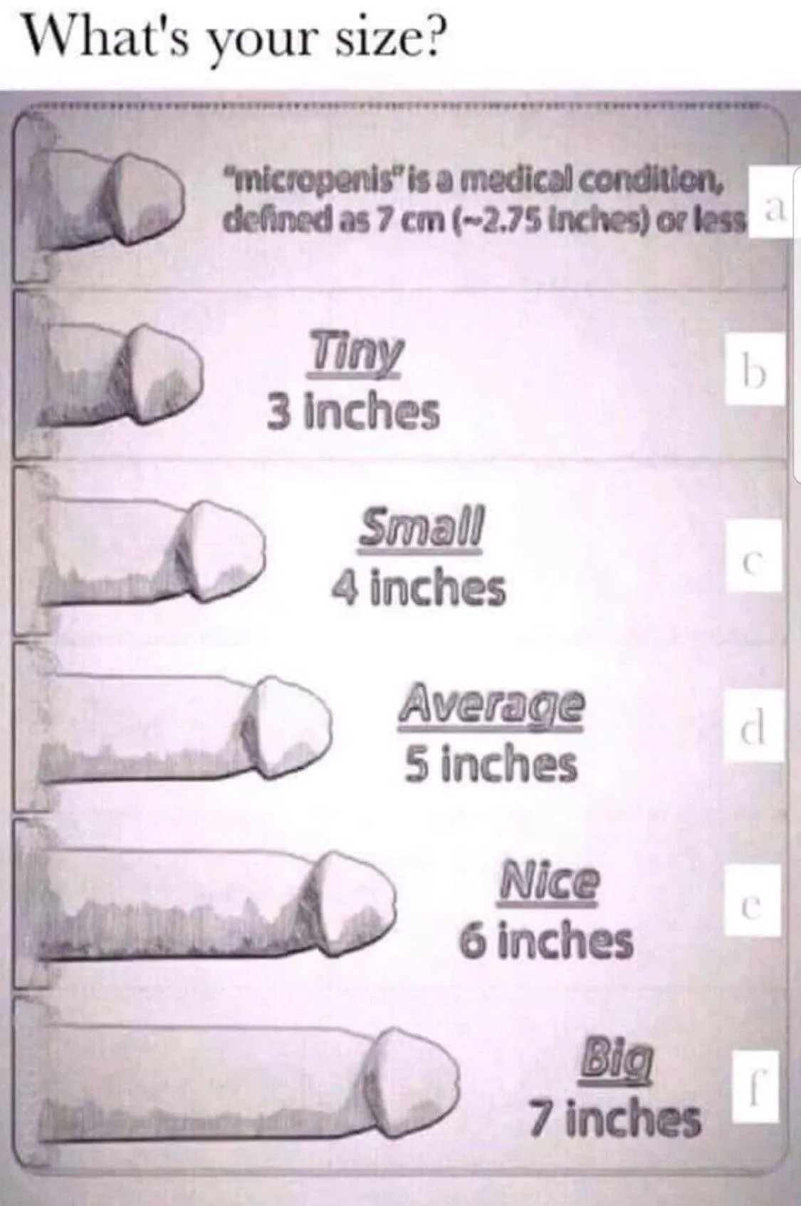 Any of my straight bros think they are bigger than me? I’m 7.5, if you win I’ll reward you with some pics of my partner 😛. Don’t be scared pm me