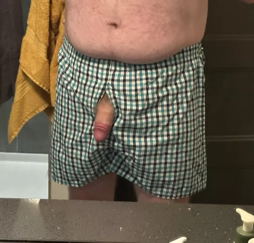 Boxer recommendations?