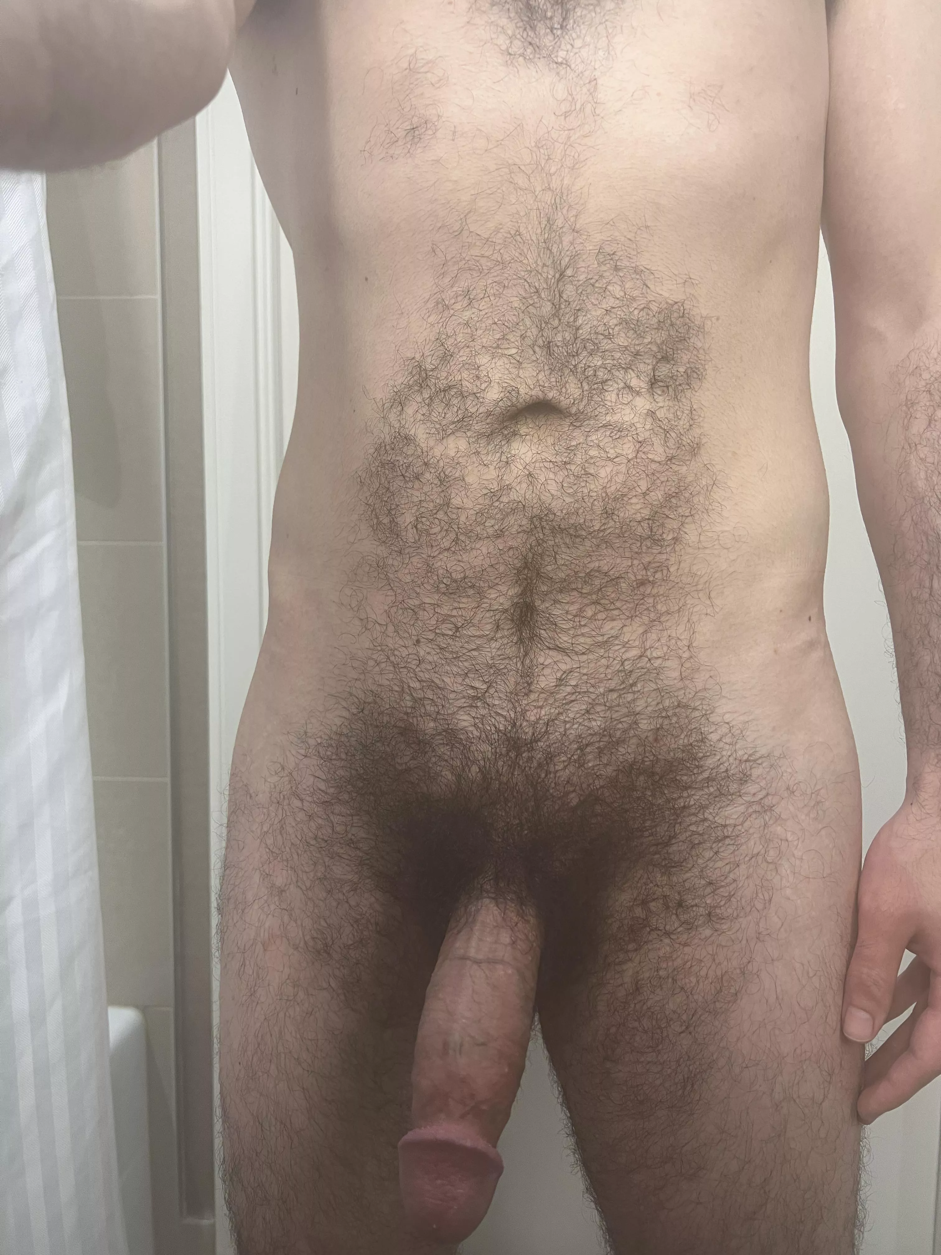 Bushy dick (33)