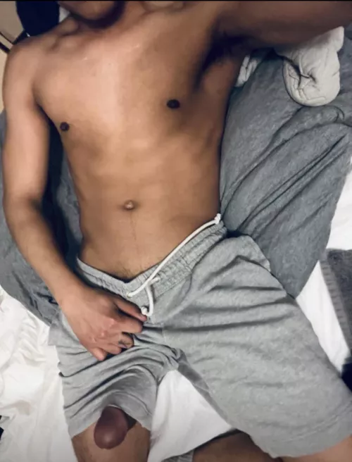 Do you like sucking cocks my size?