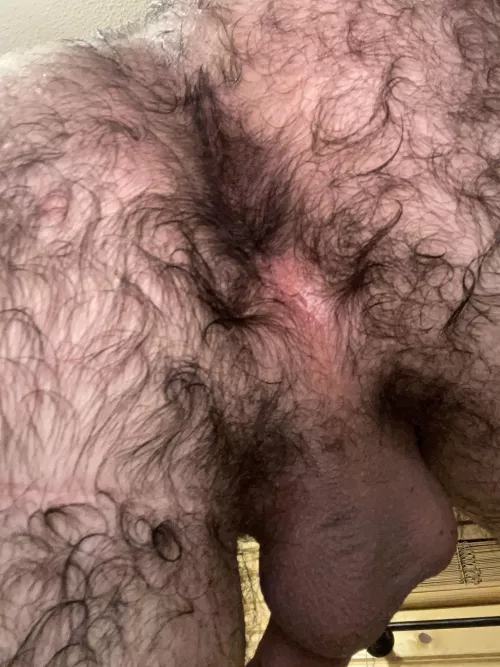 Fresh outta the shower, do you want my hairy hole?