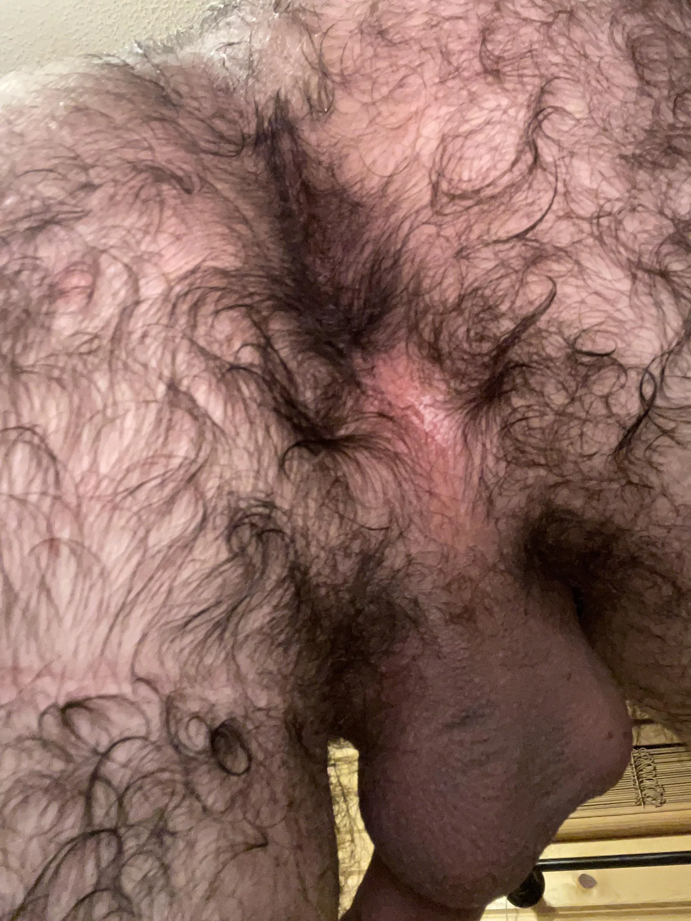 Fresh outta the shower, do you want my hairy hole?