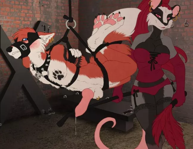 Hang tight :3 (Sabretoothed Ermine)