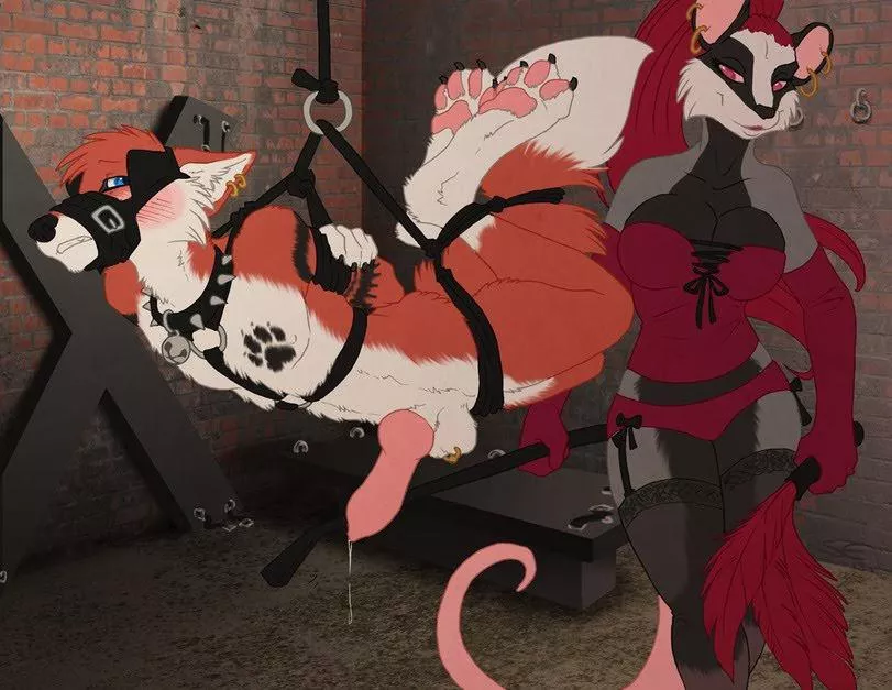 Hang tight :3 (Sabretoothed Ermine)