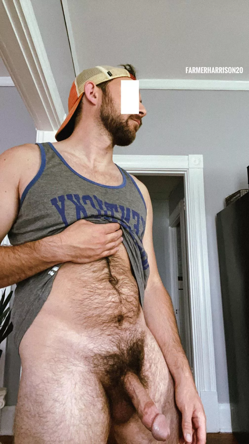Hung athletic otter