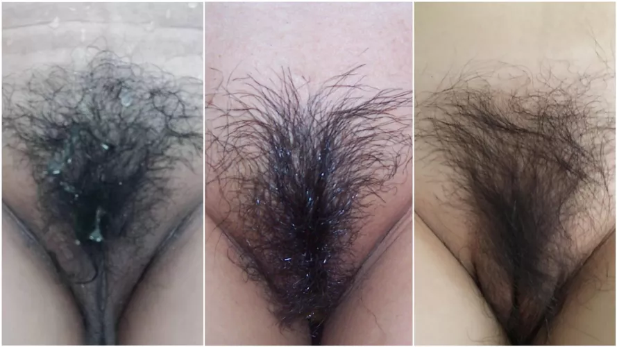 I have tried these 3 different MILF pussy. Yummy!