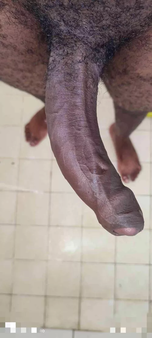 Let me shoot my kid's deep inside your womb