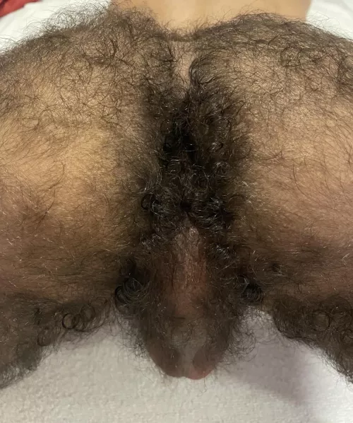 Maybe the hairiest ass ever, what do we think guys? Yes I was lucky enough to fuck it (OC)