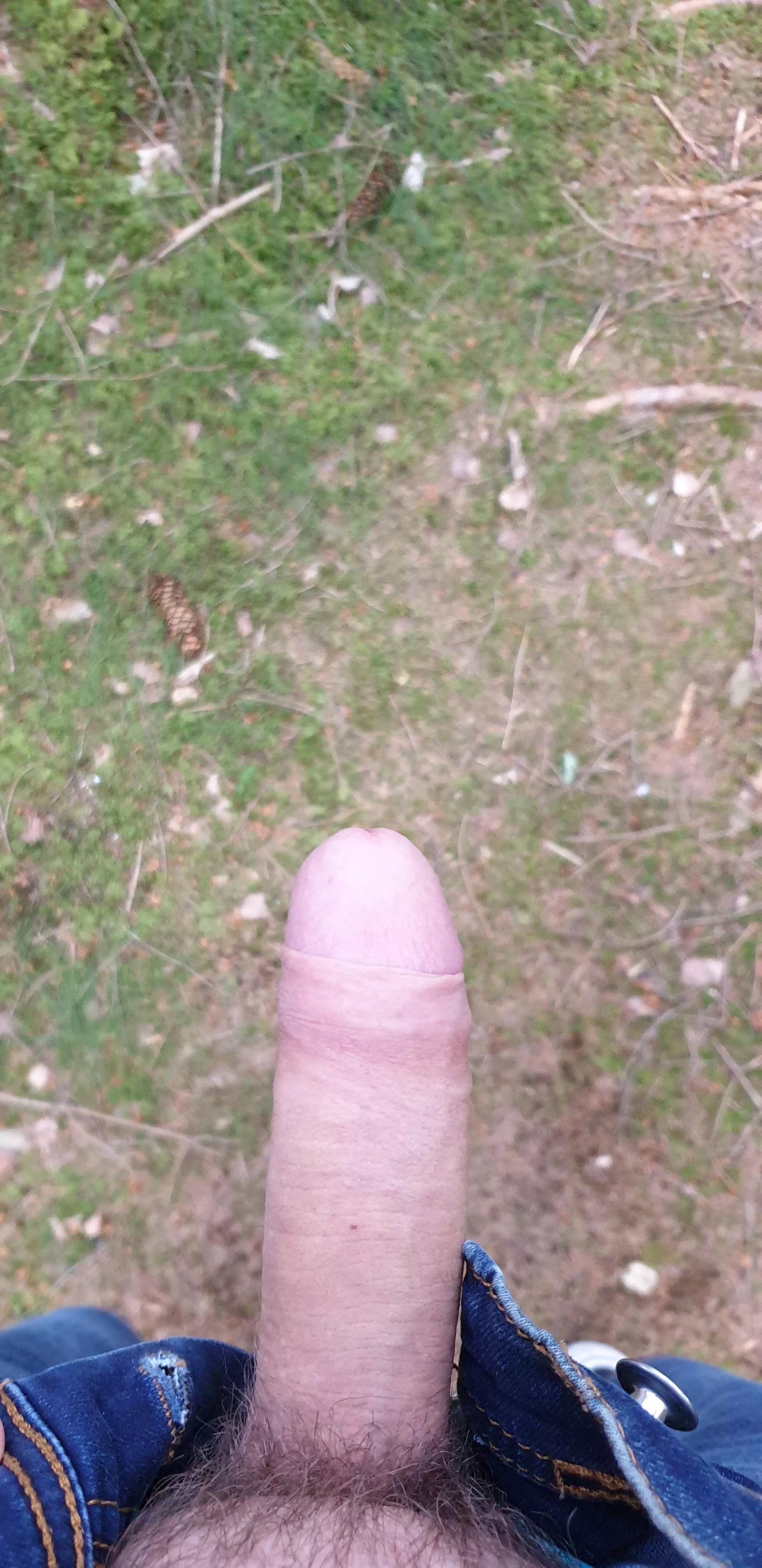 My cock got hard again while walking. I had to get him out straight away.