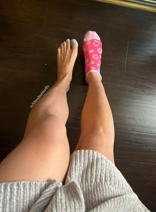 Pastel colors 🌸🦋