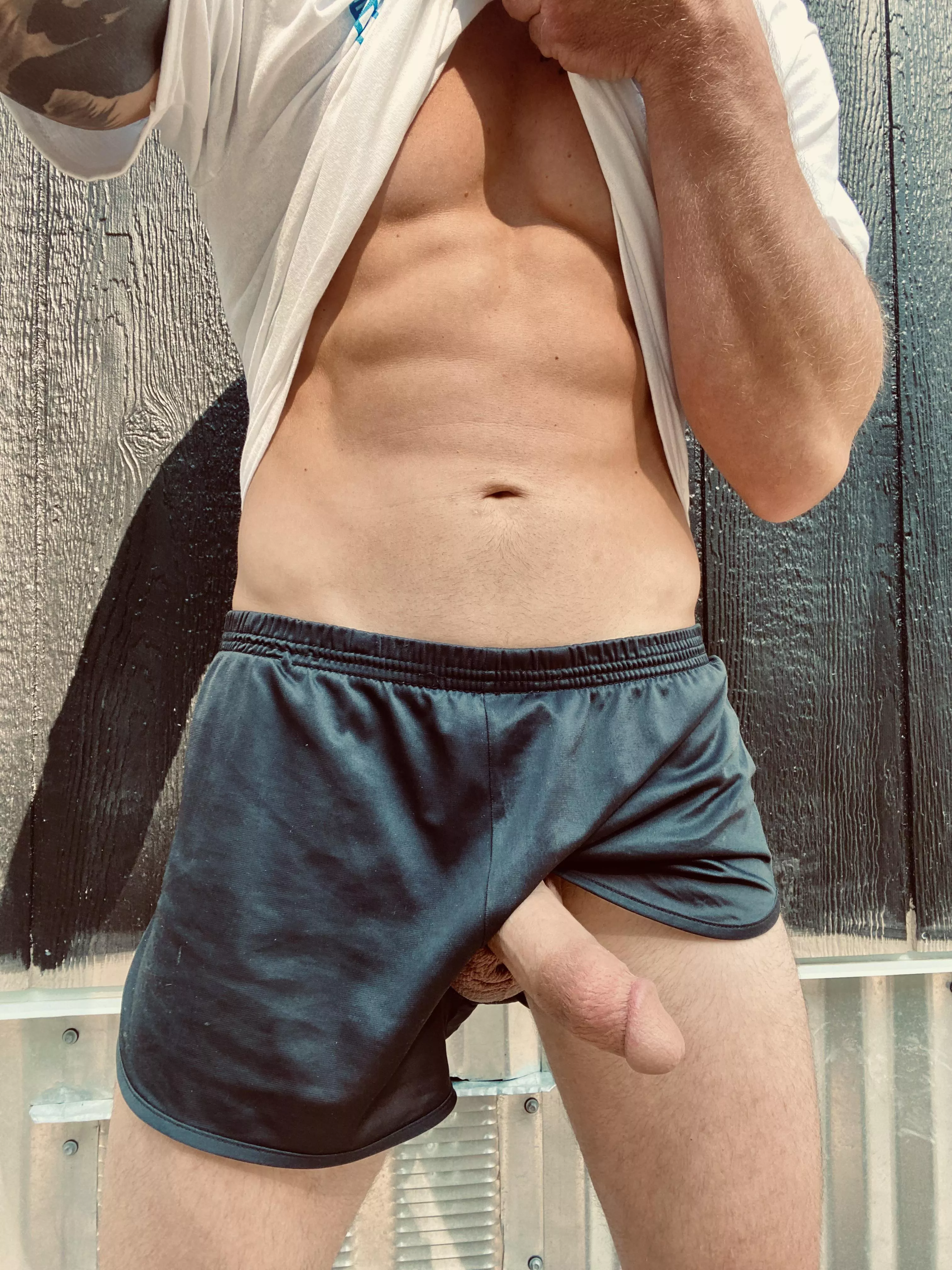 Silkie season 😎 (M/33)