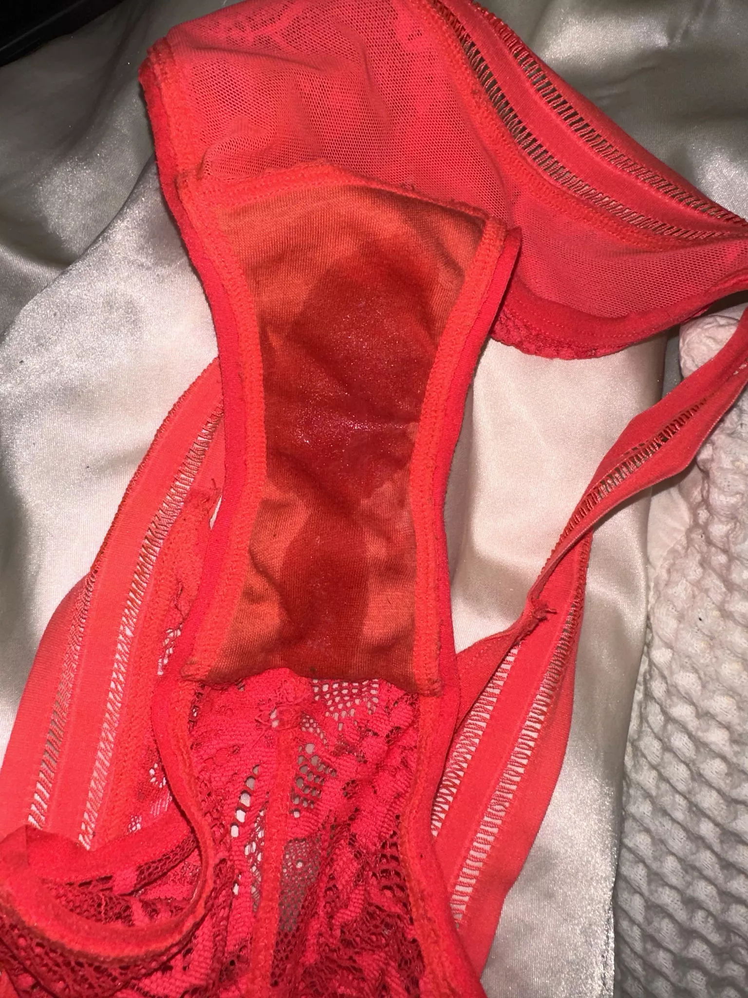 squirtle is my favourite pokemon