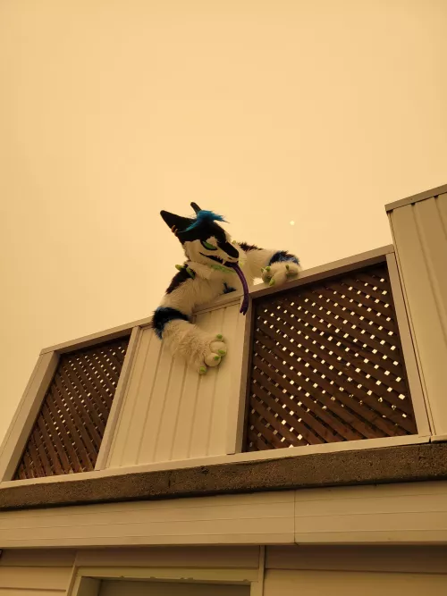 The doors of Hell are open. I AM FREE !!!!!