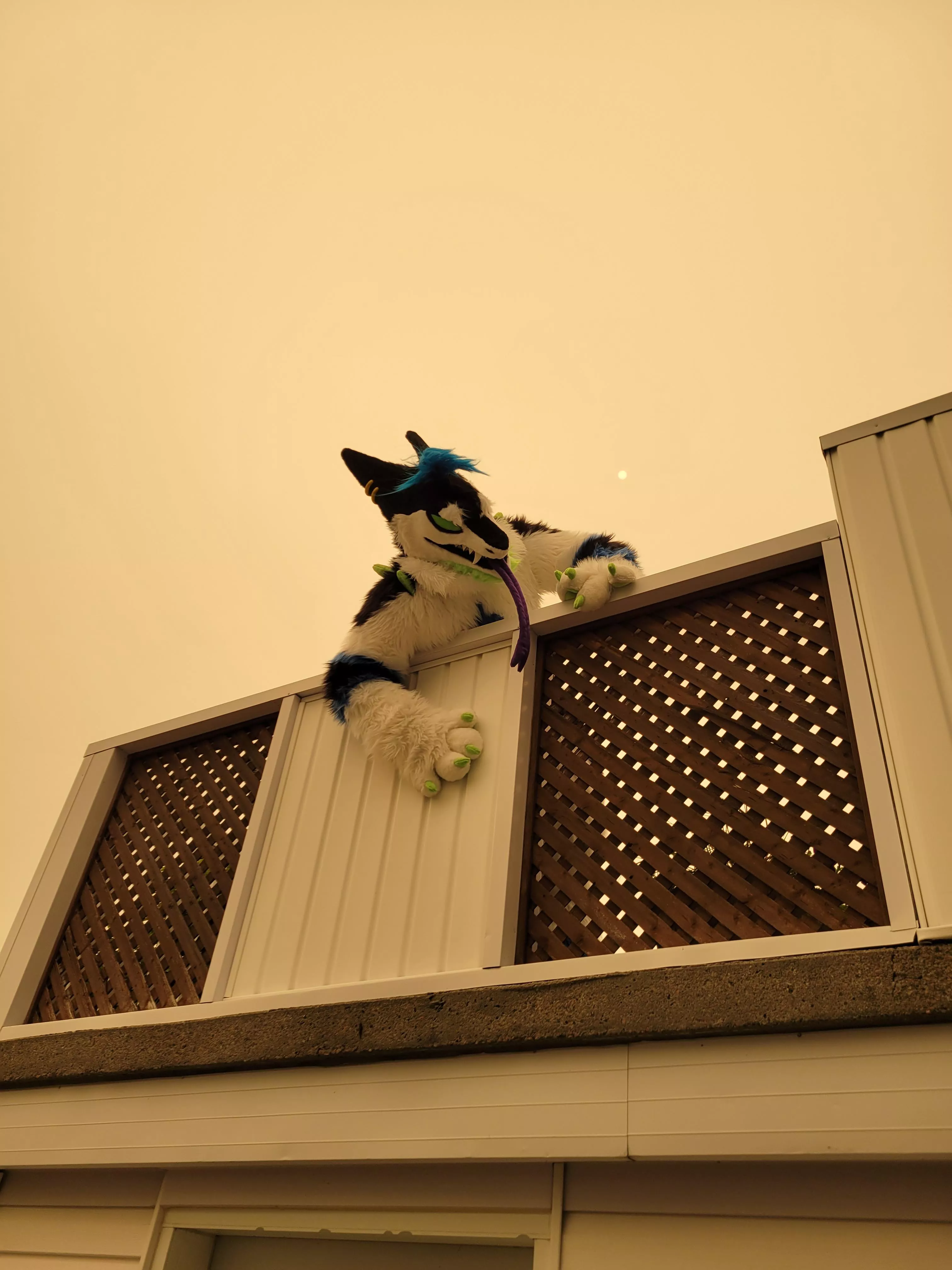 The doors of Hell are open. I AM FREE !!!!!