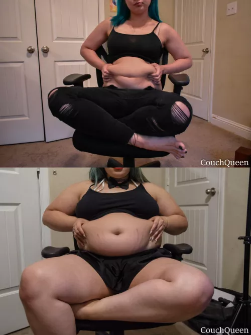 The first day I was introduced to feedism vs one year in