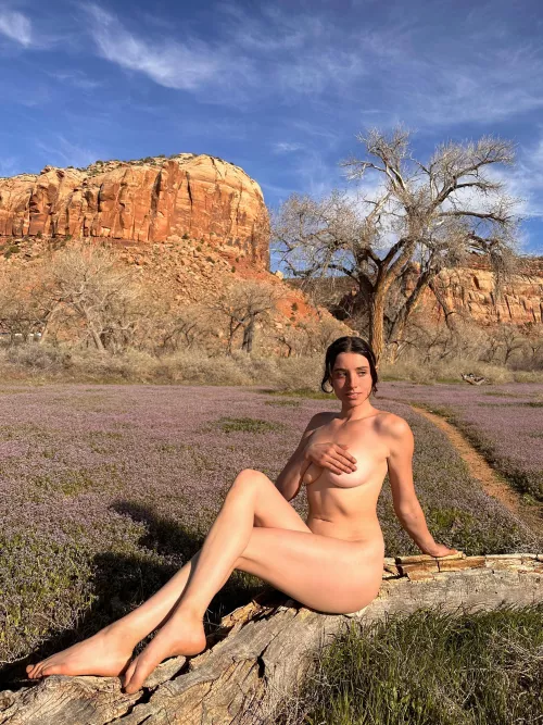 the southwest in the spring is something special