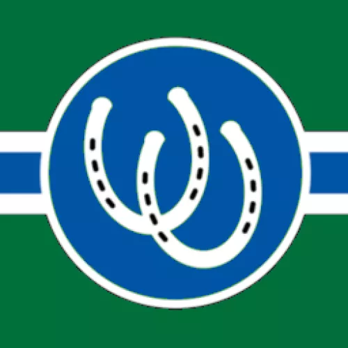 Trot, a Ponygirl Rideshare App, now available for download.