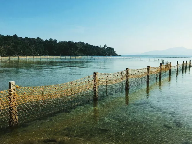 Water’s clear, it’s shallow but it has 🐊.