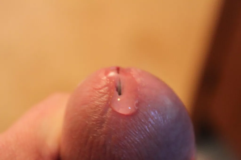 Who here loves to eat their precum? I do!
