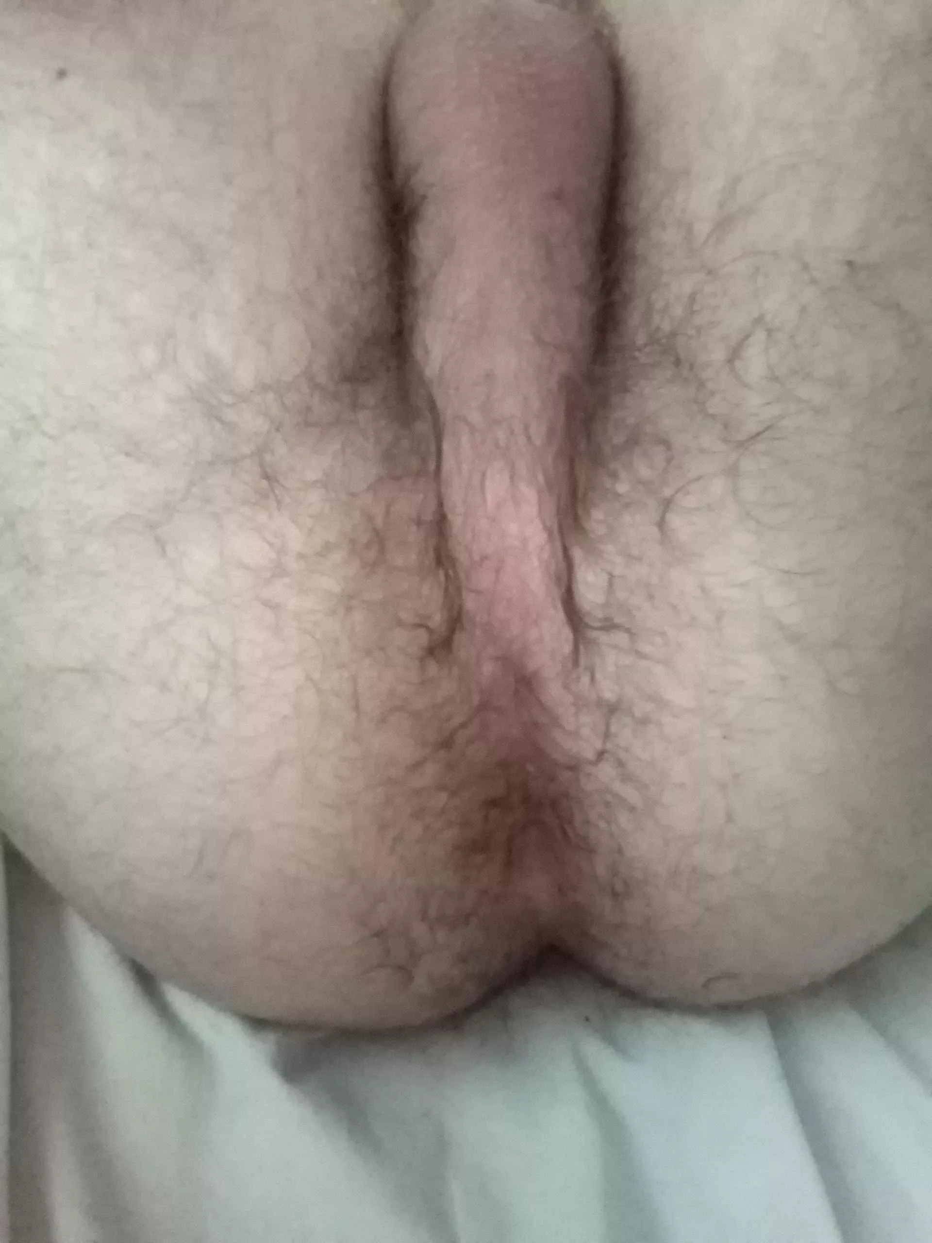 Would you fuck it?
