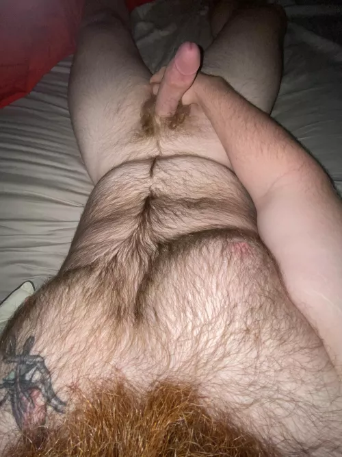 Would you play with me??