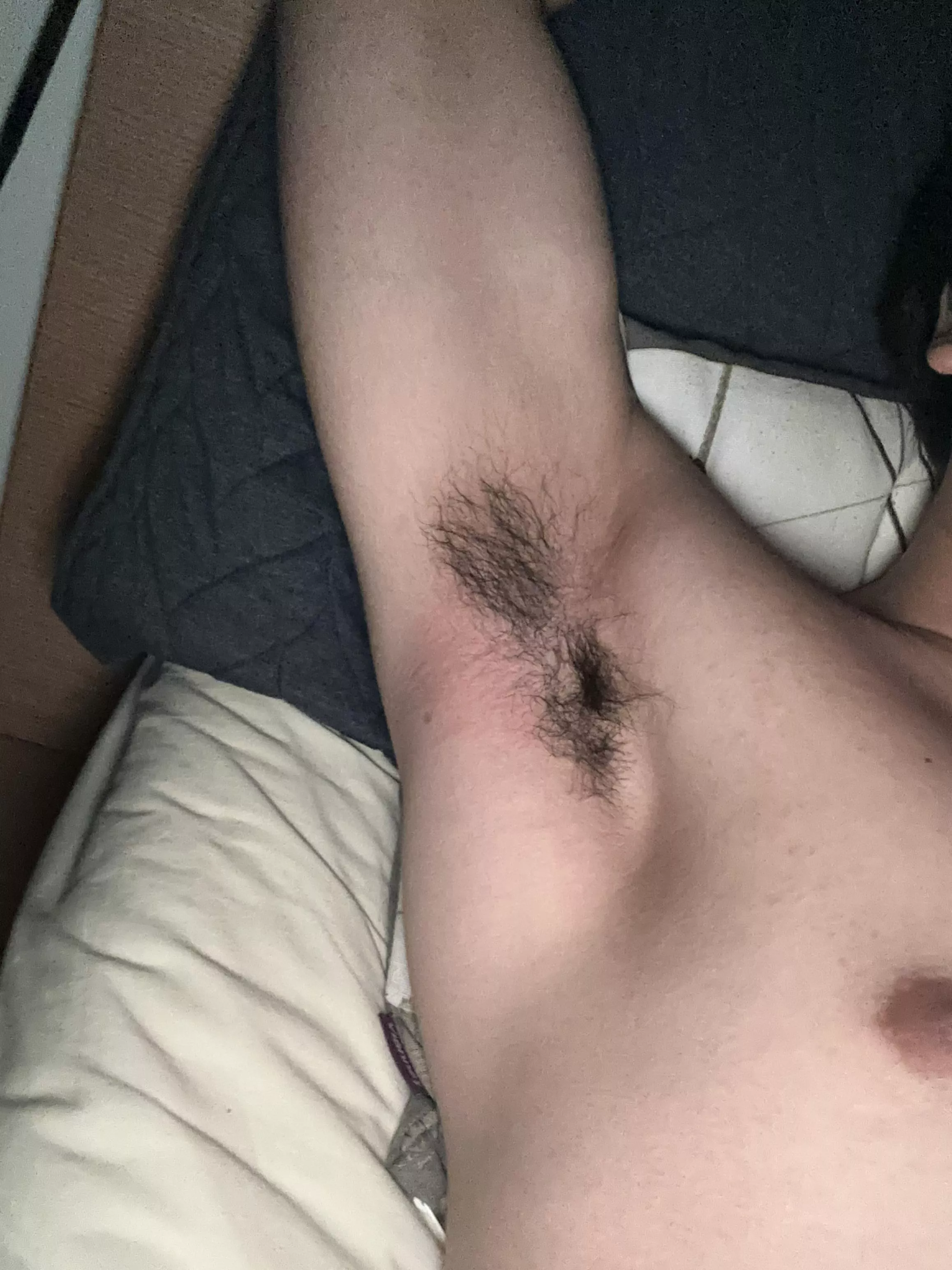 18 - snap: hxklip20 semd pits