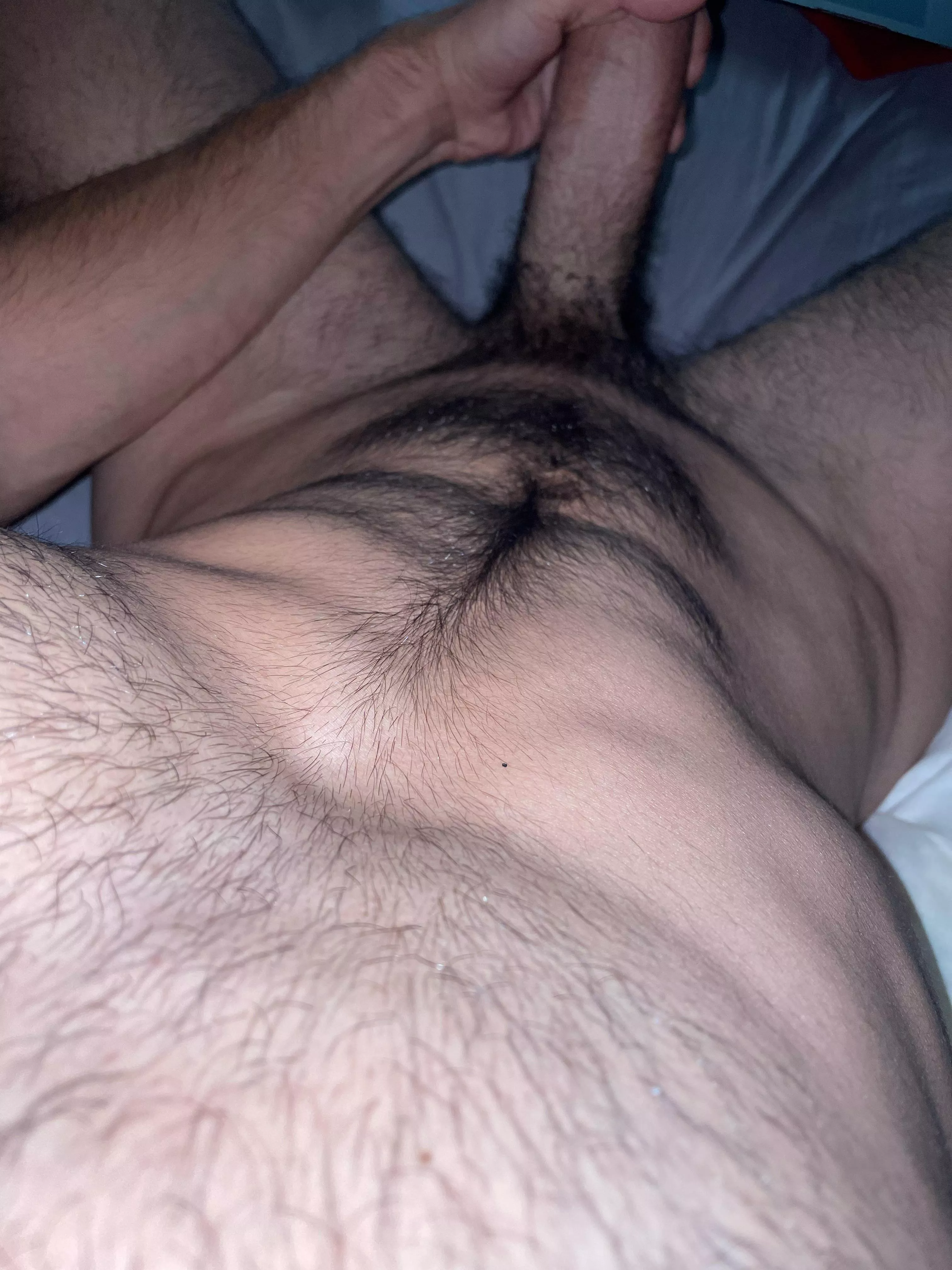23yo xl looking for uncut xl add french12321 and send pic or vid please