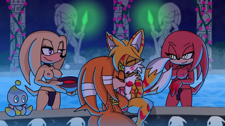 Echidna Tribe Hospitality (@HSKWID)