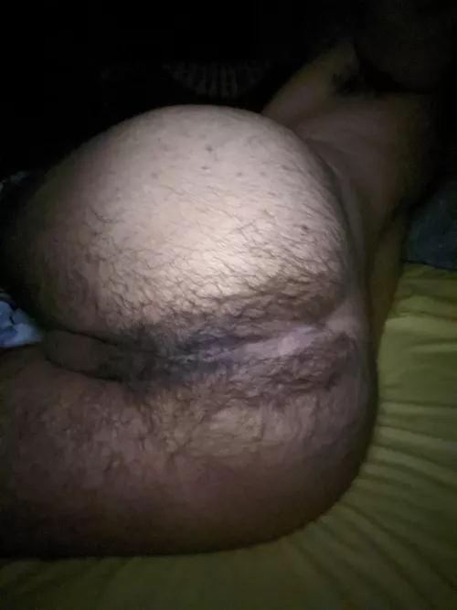 Hi, my hairy ass.🍑