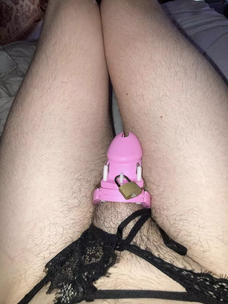 I’m only allowed to talk to women while I’m caged & in panties. 😇🔐