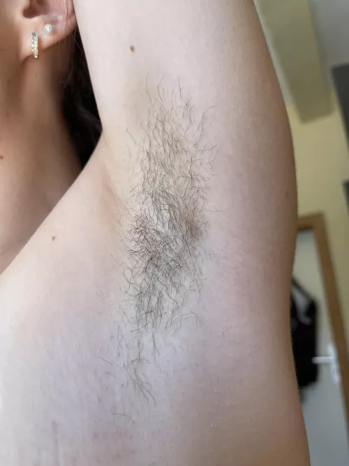 Little closeups for you.