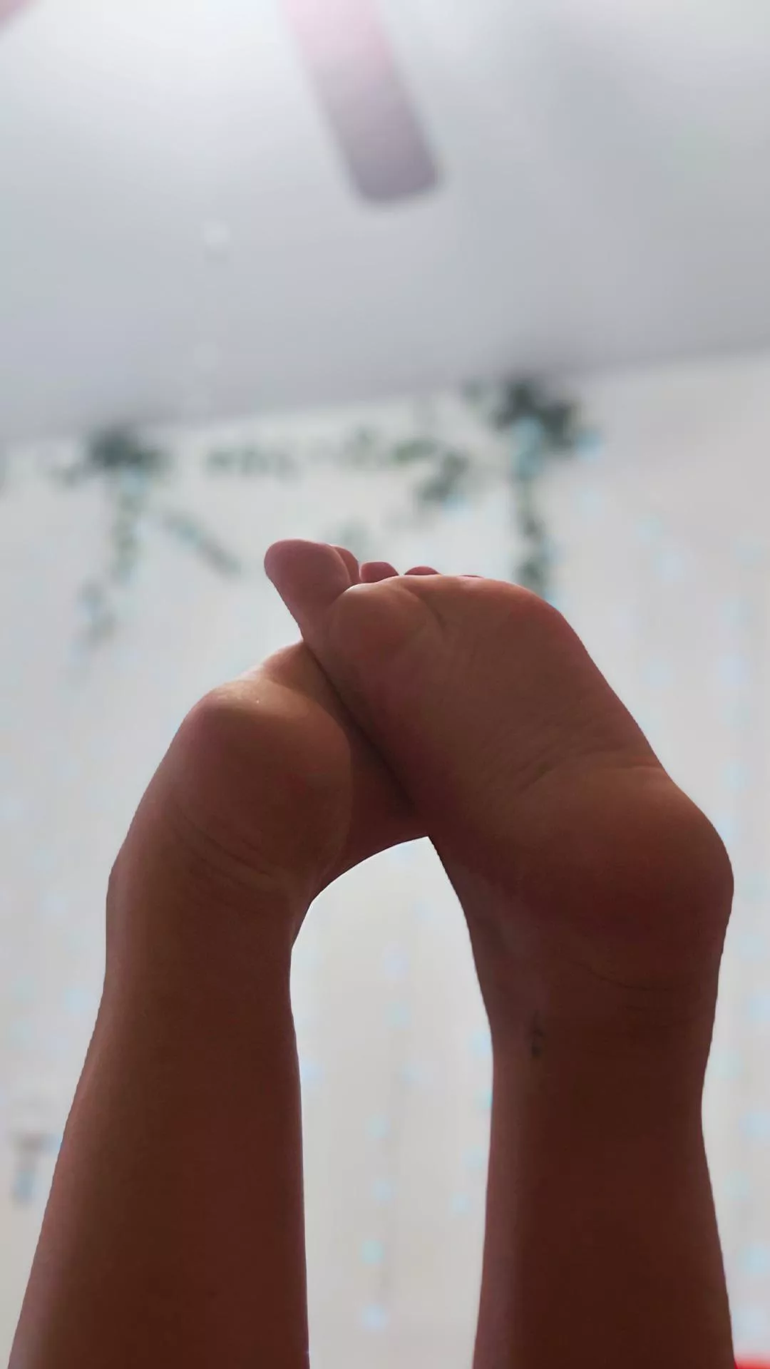 they take me everywhere…