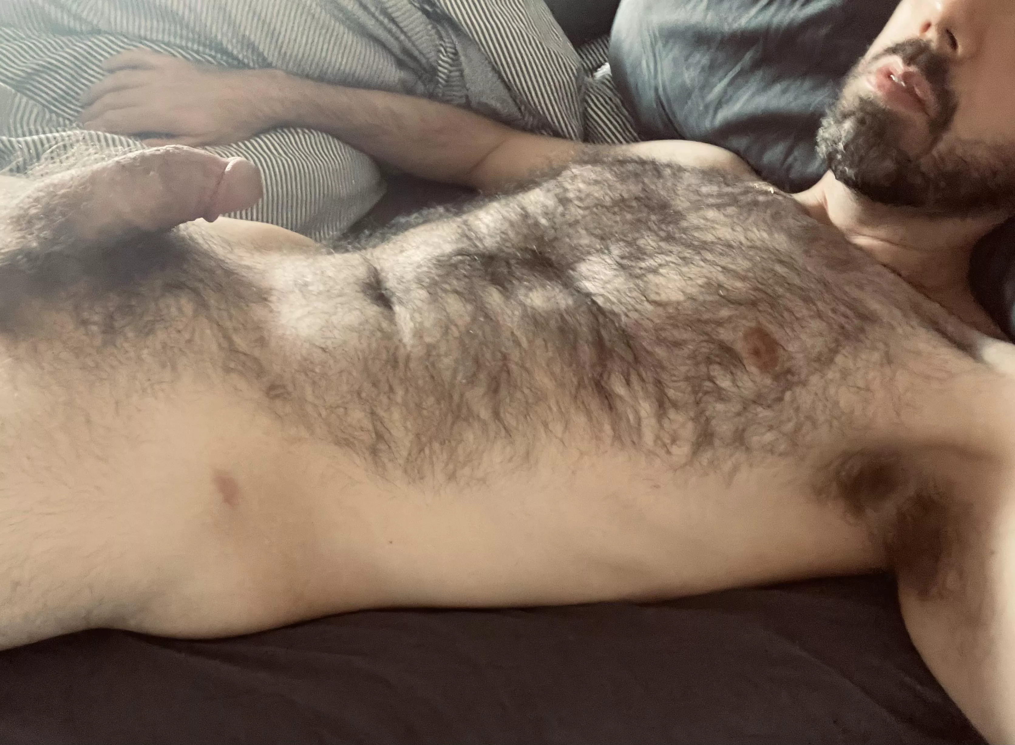 What hairy area do you like best?