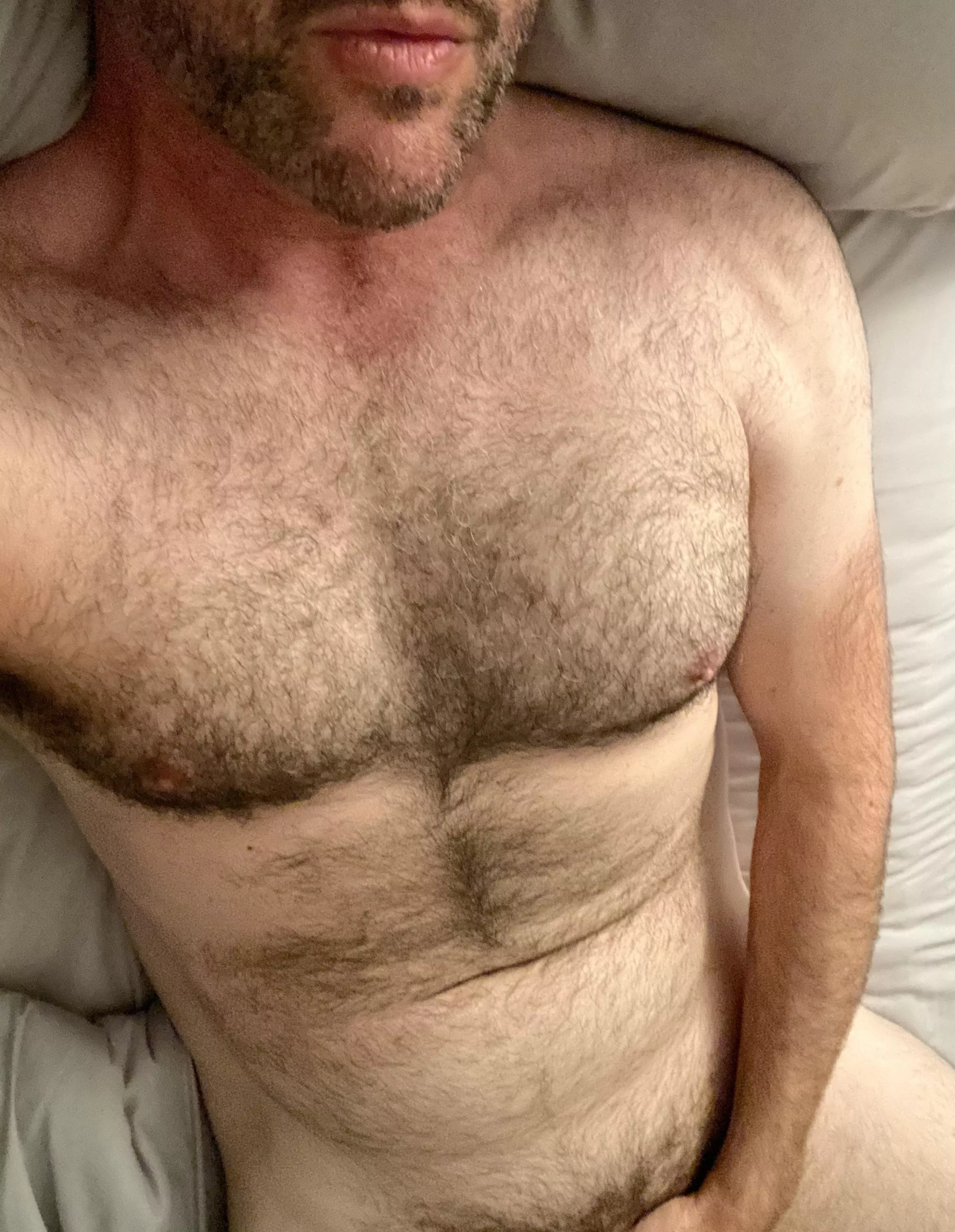 Yes, or no? (42) 21+ Only