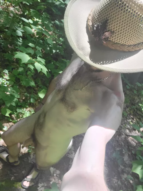 An otter in the wild