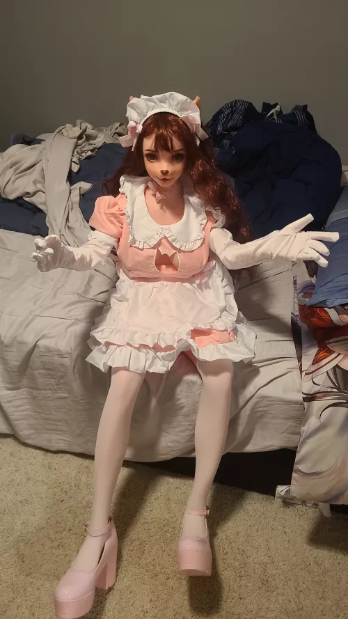 Ari ready for nightly duties