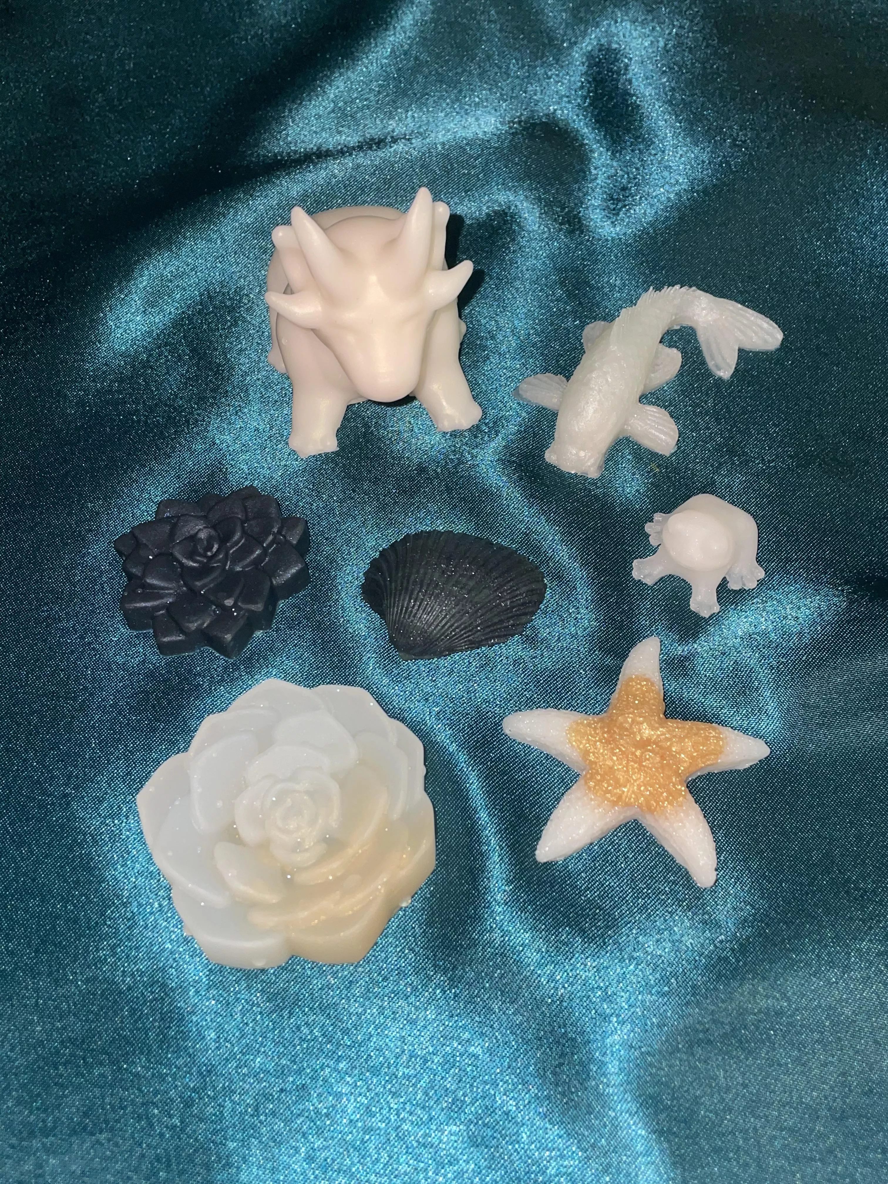 Can I get some help identifying these squishy friends please?