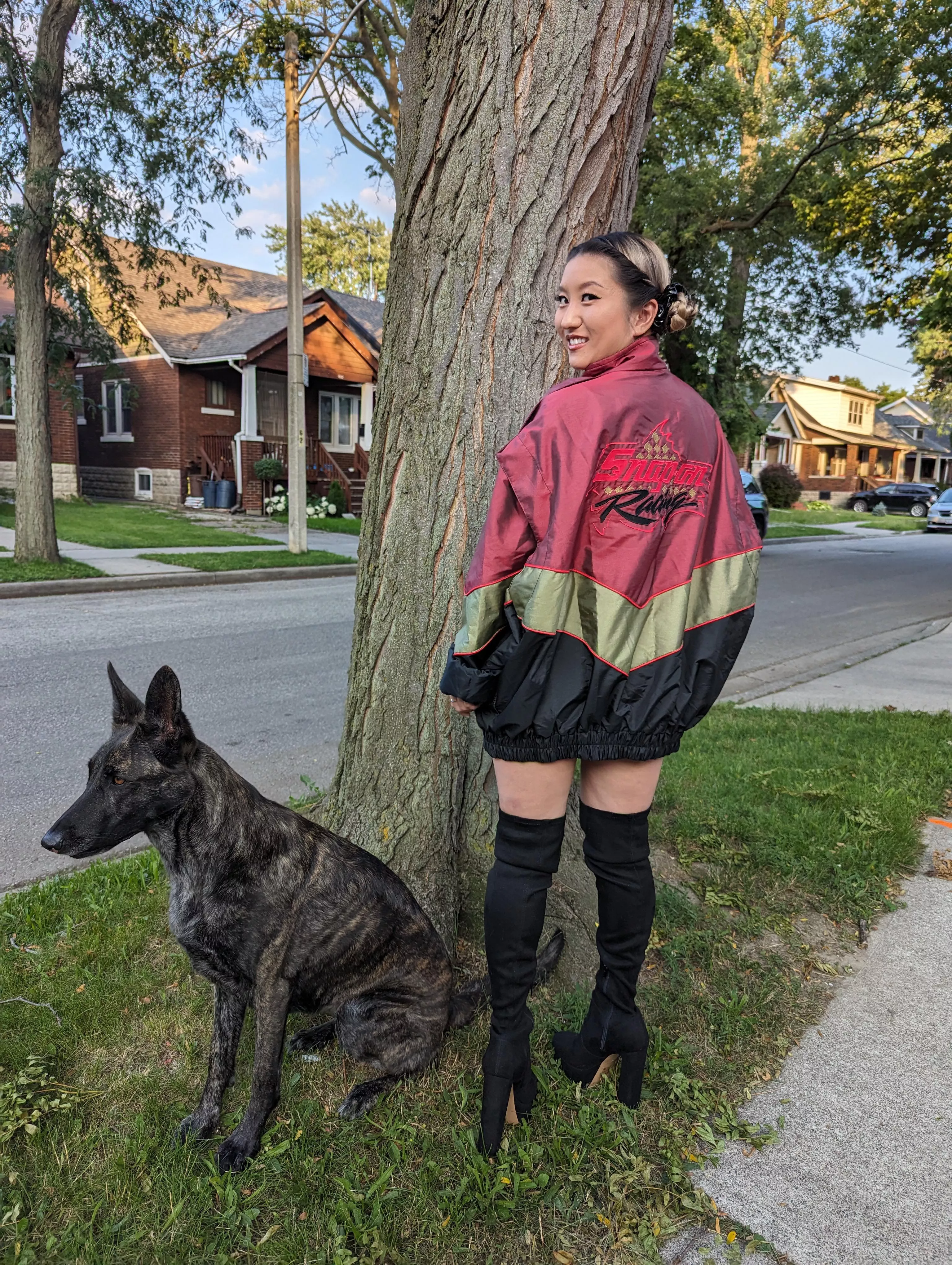 Down for a car girl with a pup?