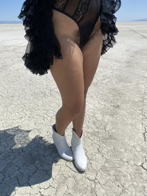 Exhibition Expedition