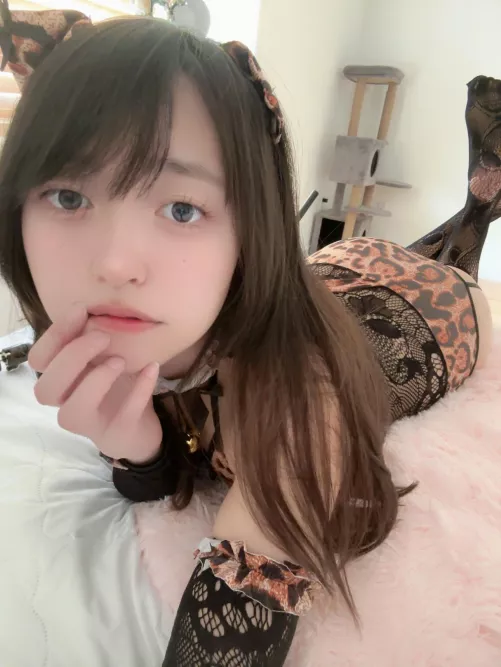 feed me ur milk master