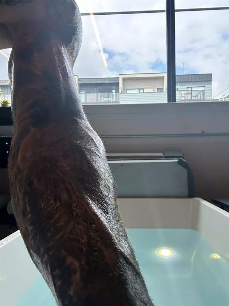 Here, relax. I’ll help you sleep.