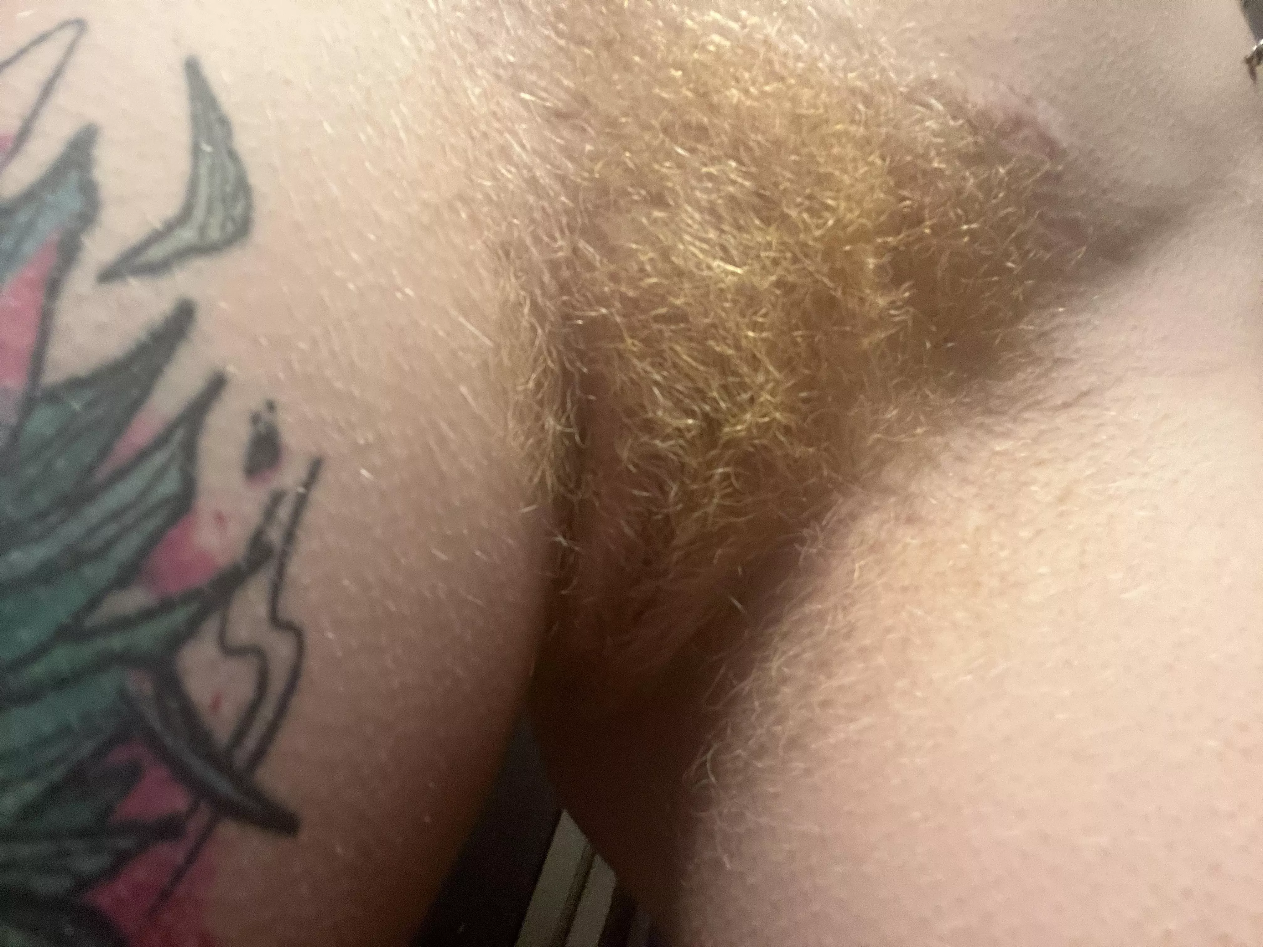 How do you feel about natural gingers