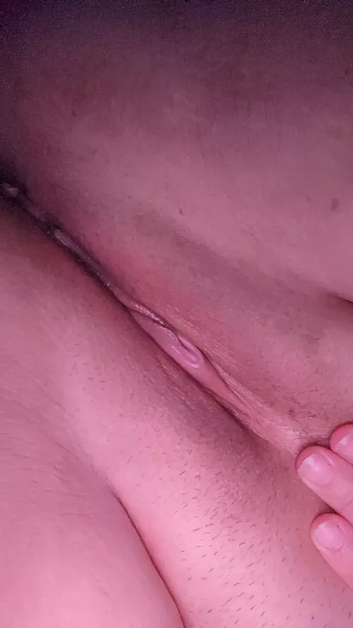 I really want a hot cream pie right now