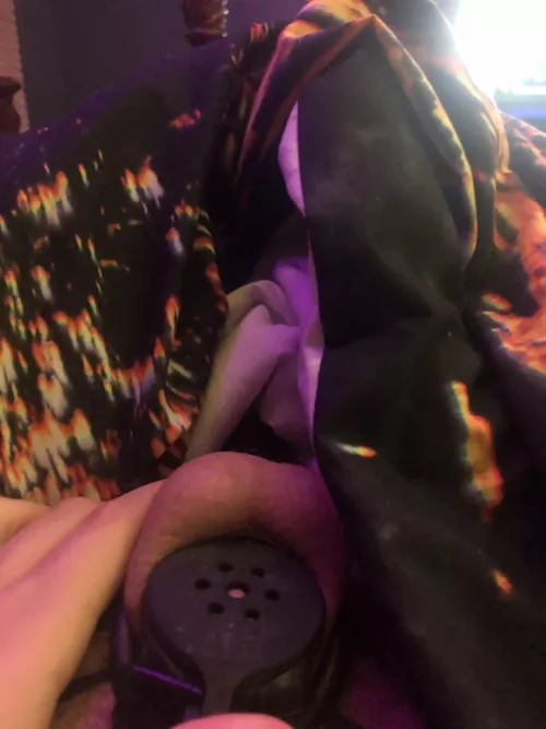 I’ll stay caged 1 hour for every up.vote