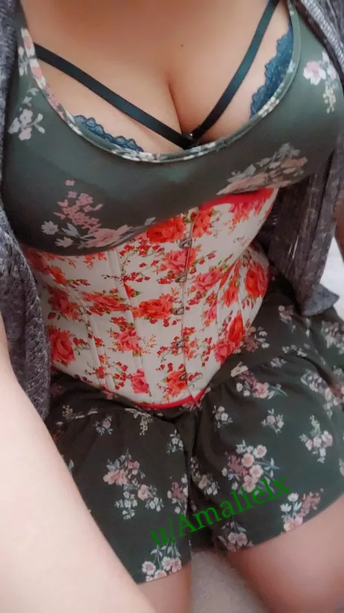 🌹❤️🤍 love roses