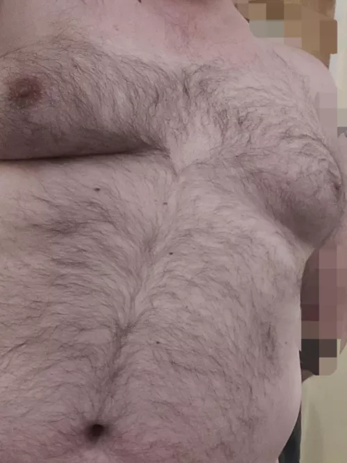 never been sure how much hair makes a bear...am I bear material?