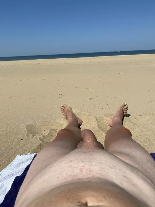 Nice day at the beach