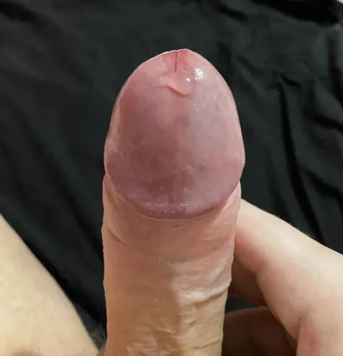 No drip but can I interest you in a pool?