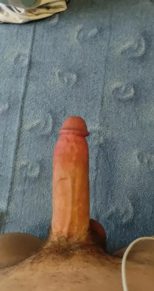 Rate my cock